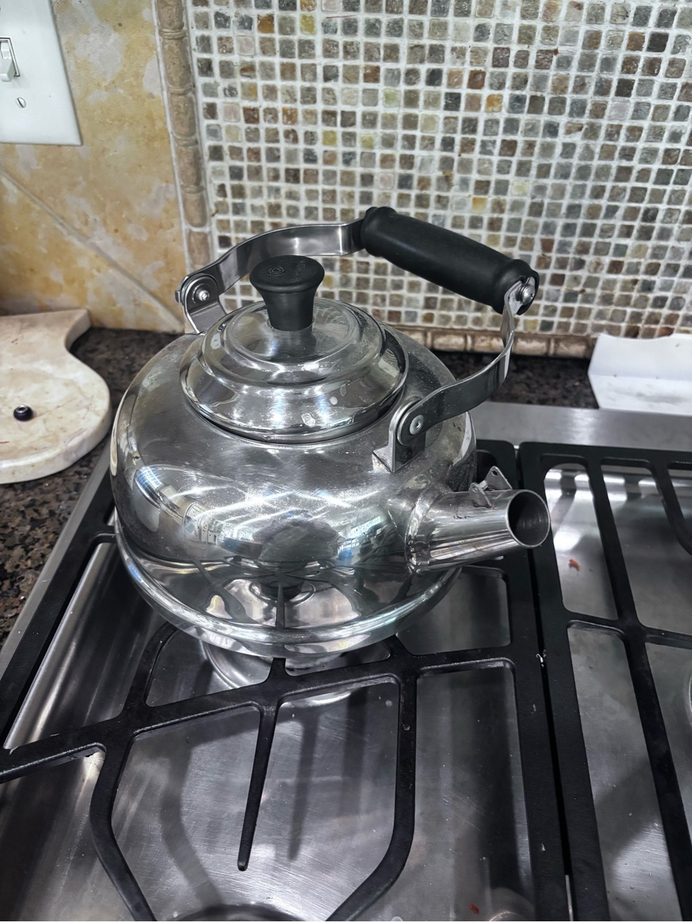 Le Creuset Stainless Steel Whistling Tea Kettle with Black Handle - Silver